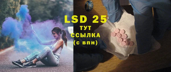 прущие грибы Володарск