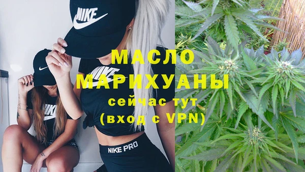 индика Волоколамск
