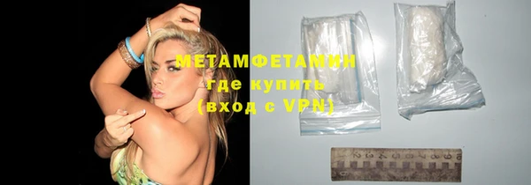 индика Волоколамск