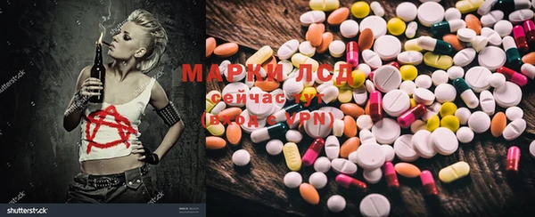 индика Волоколамск