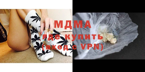 индика Волоколамск