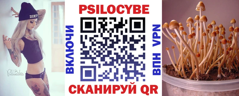 Галлюциногенные грибы прущие грибы  купить наркотик  Камень-на-Оби 